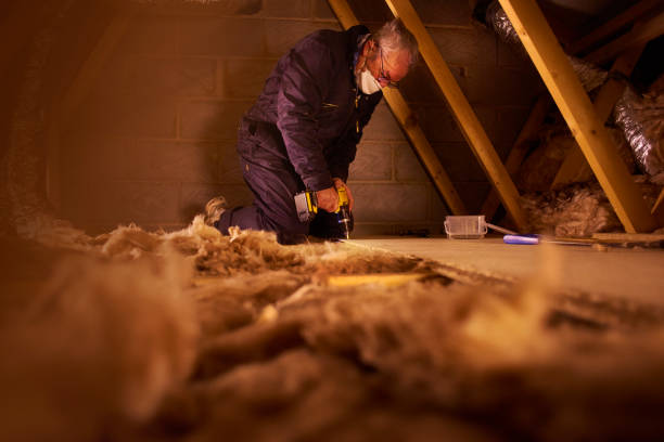 Best Insulation Installation Services in Singac, NJ